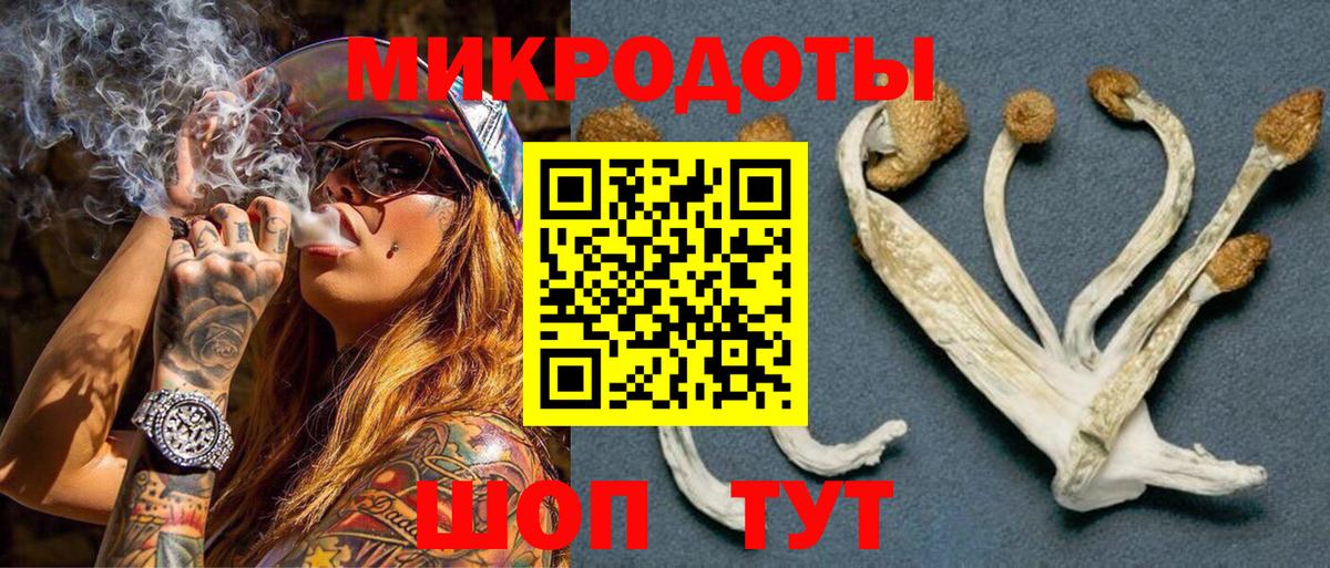 Псилоцибиновые грибы мицелий Березники