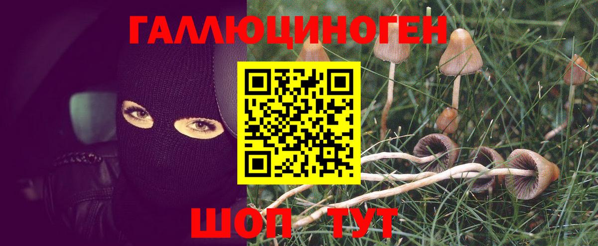 Псилоцибиновые грибы мухоморы  Галлюциногенные грибы MAGIC MUSHROOMS  Вход с VPN  Березники 